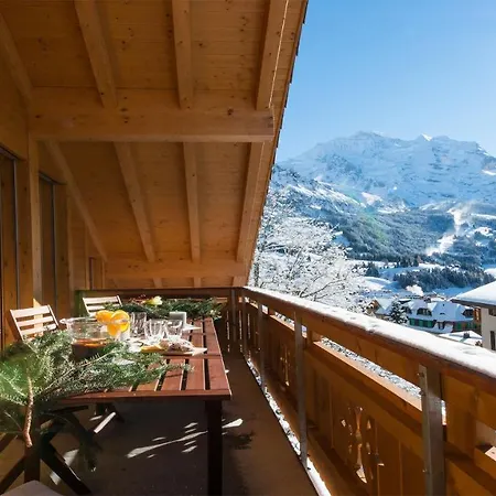 Chalet Bergfrieden Penthouse 公寓 *
