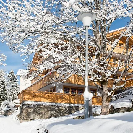 Chalet Bergfrieden Penthouse 公寓